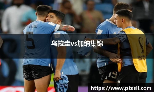 乌拉圭vs加纳集锦